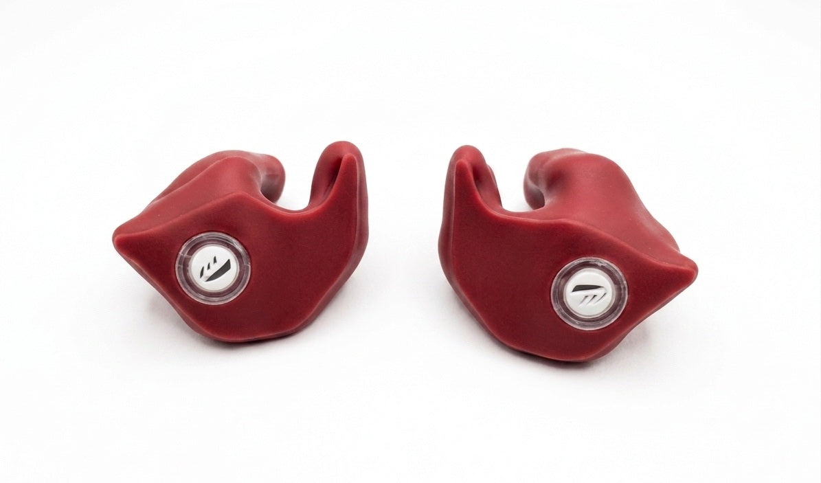 Filtered Earplugs