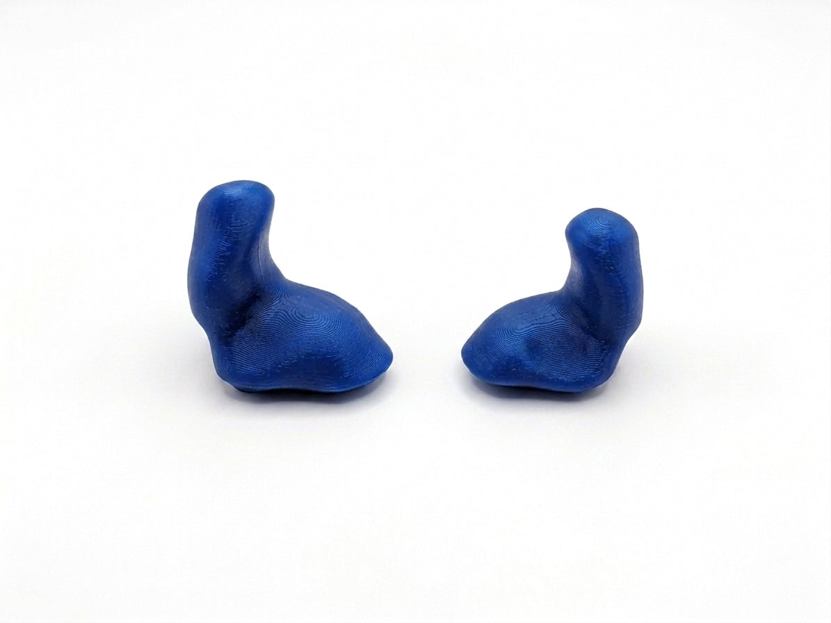 Sleep Earplugs